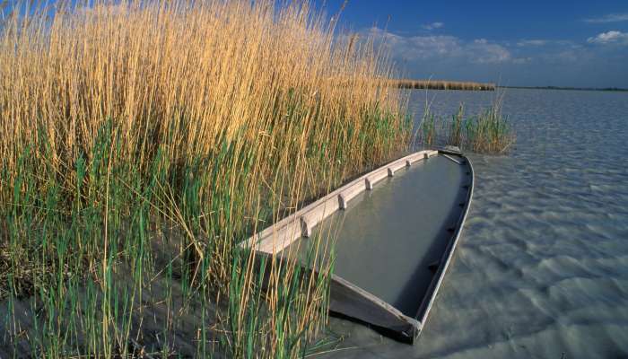 nežidersko jezero, Neusiedler See