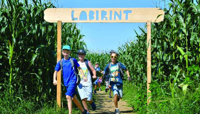 labirint1