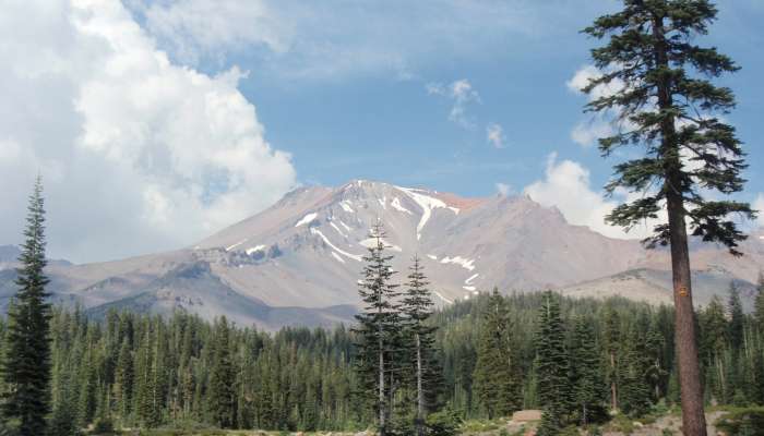 Mt. Shasta