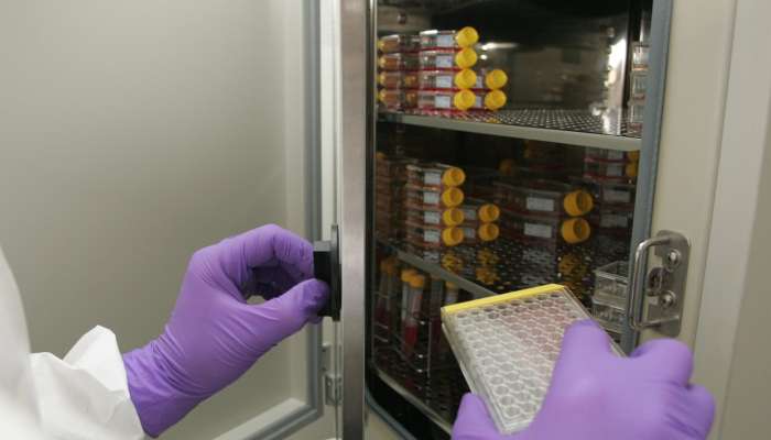 farmacevtska hladilna omara, virus, bakterija, zdravilo, laboratorij