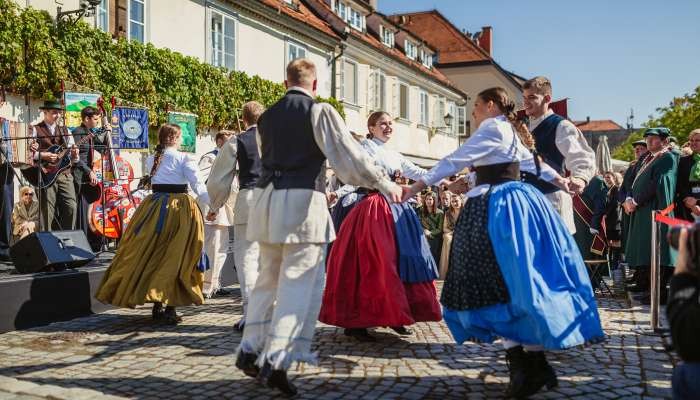 Harvest-of-the-oldest-vine-in-the-world_Maribor-Pohorje_Slovenia_Dejan-Blut_138