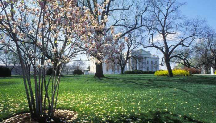 national mall