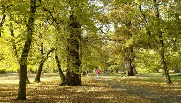 Mestni park, Murska Sobota