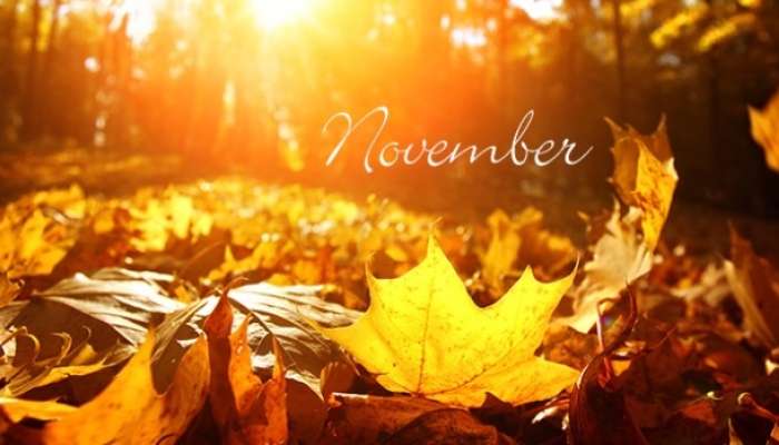 November