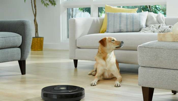 R612_R614_R627_R675_R671_Photo_Lifestyle_Dog in Living Room_EMEA_NA_Japan