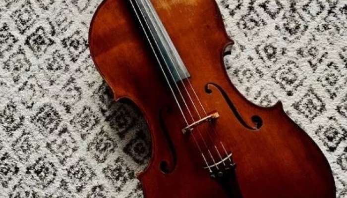 violončelo, ukradeno