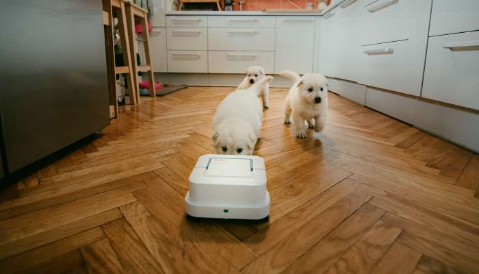 iRobot Braava_foto_Pasja Hisa