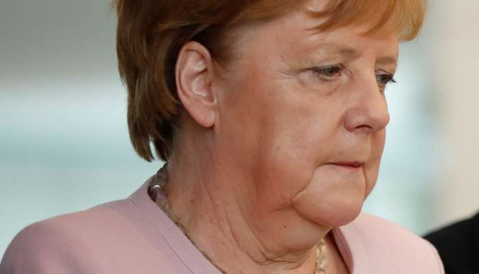 Angela Merkel, Volodimir Zelenski