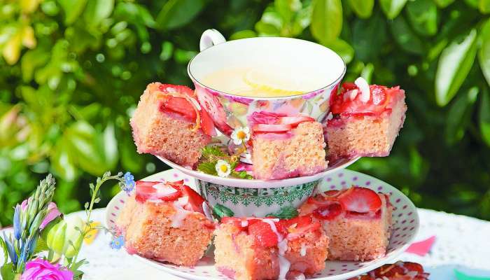 k vrtna zabava kocke z limono, kokosom, jagodami