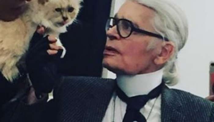 Karl Lagerfeld s Choupette