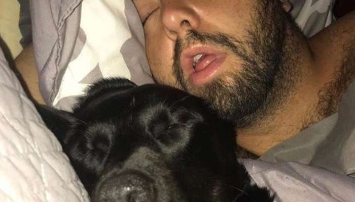 pes, lastnik twitter sleeping-lab-and-owner