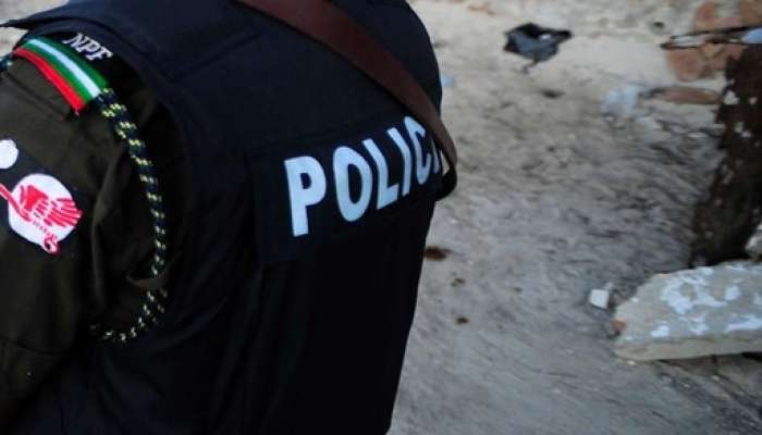 nigerijska policija, nigerija