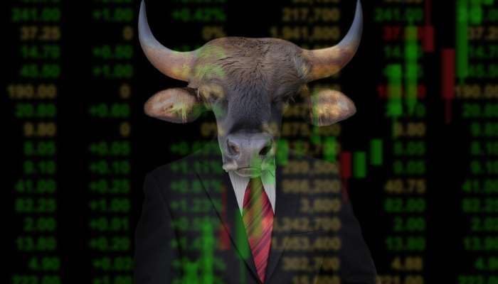 borza, bikovski trend, investicije
