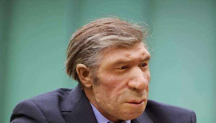 neandertalec, lutka, muzej, mettmann