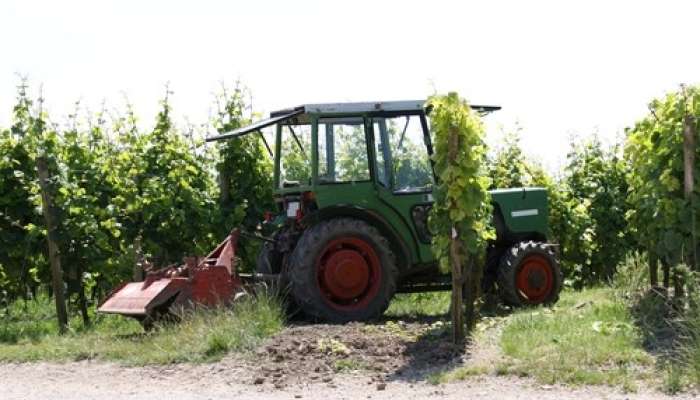 traktor, vinograd
