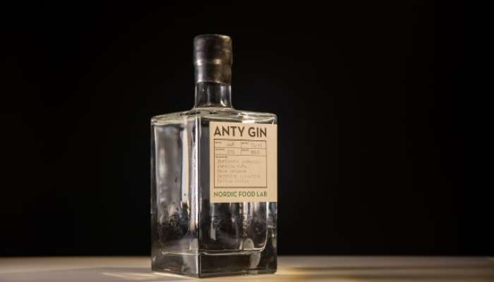 anty-gin-disgusting-food-museum