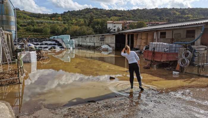 posledice neurij na goršikem, severna primorska, štab, poplava, padavine