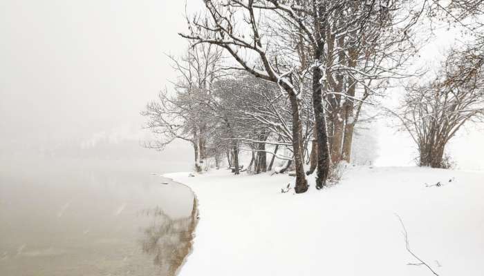 sneg, bohinjsko-jezero