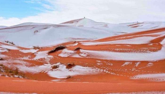 sneg, sahara