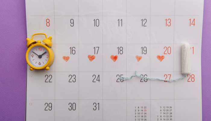 menstrualni koledarček
