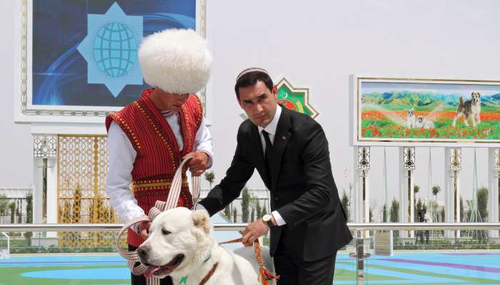 Serdar Berdimuhamedov, srednjeazijski ovčar