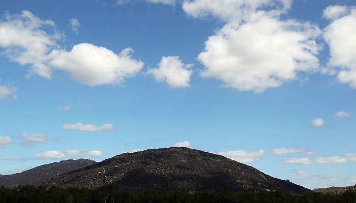 black-mountain, queensland, avstralija