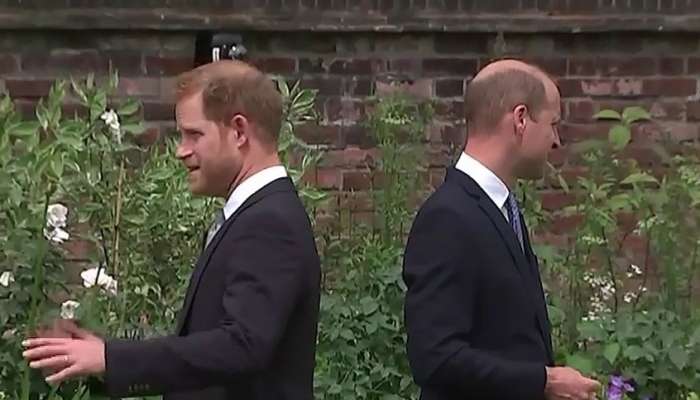 princ william, princ harry