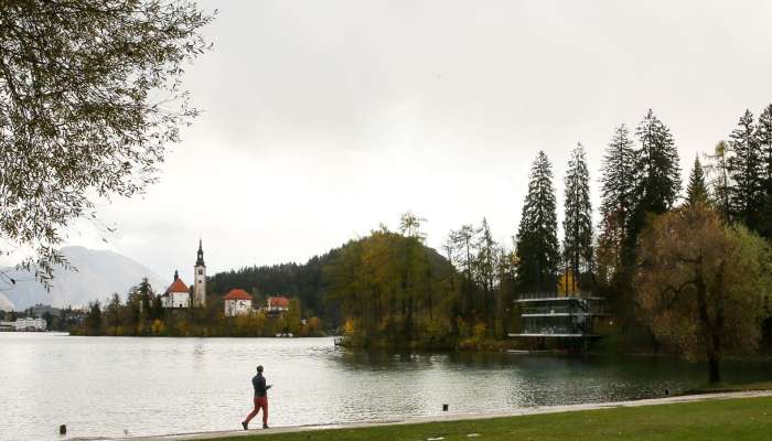 bled pl