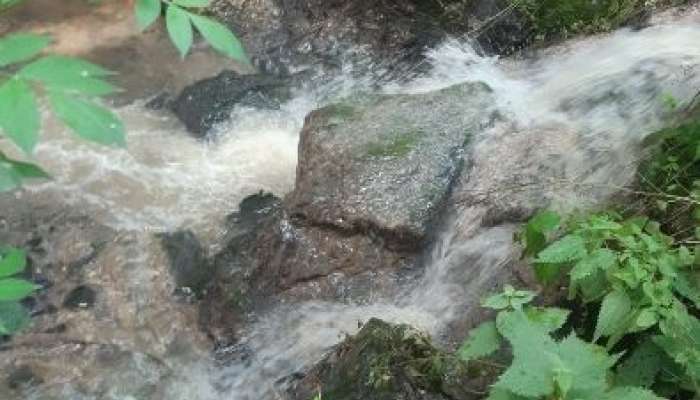 jezernica, društvo za varstvo okolja bled