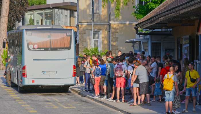 avtobus, bled