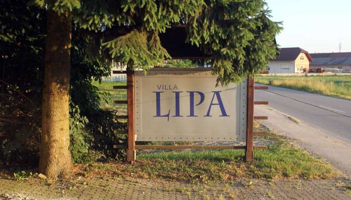 diskoteka lipa