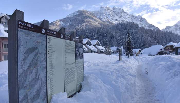 sneg, kranjska gora, zima