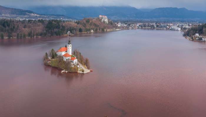 bled