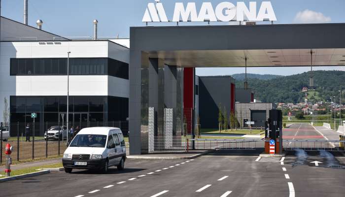 magna