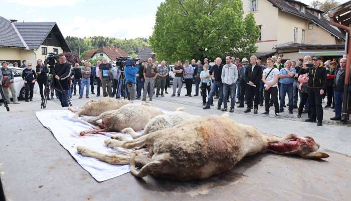 protest-kmetov, zgornje-gorje