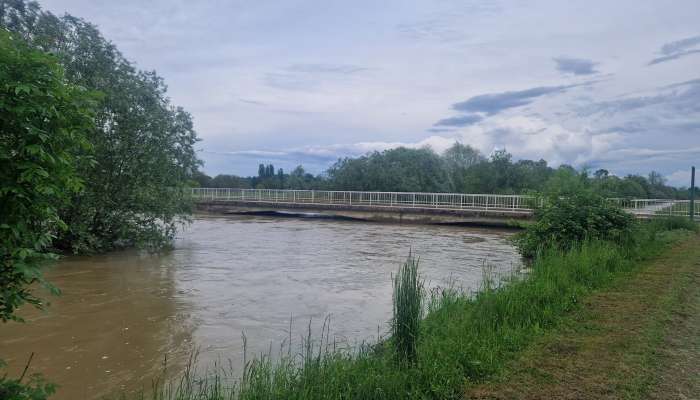 formin, drava