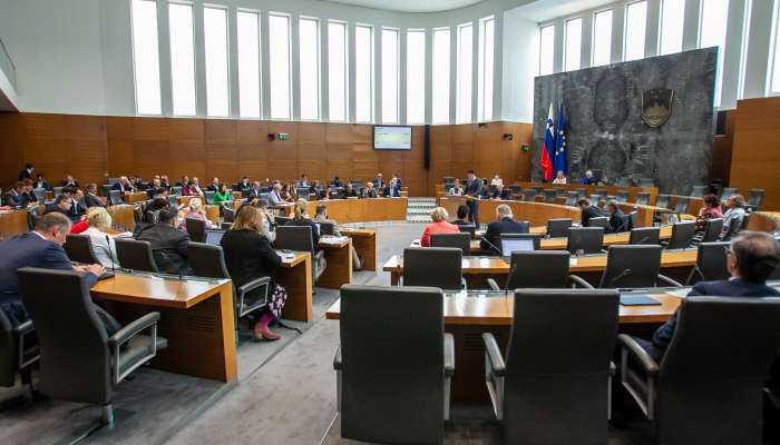 državni zbor, parlament