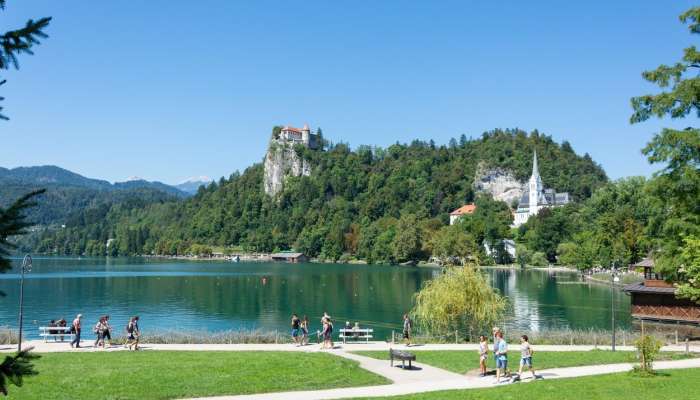 bled