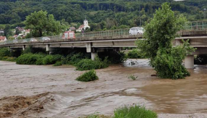 poplava, intervencija, sava