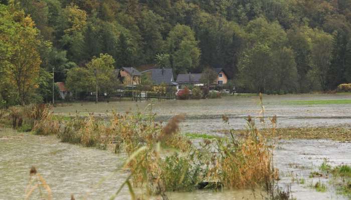 drava, krčevina pri vurberku1