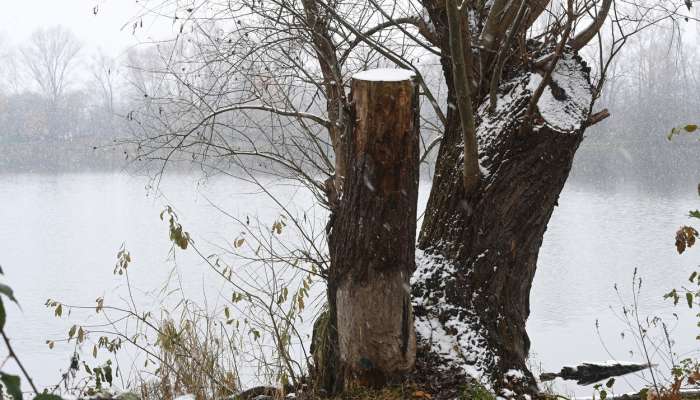 sneg, jezero Podebrady