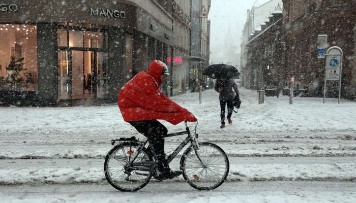 ljubljana, sneg, sneženje, 19.1.2024