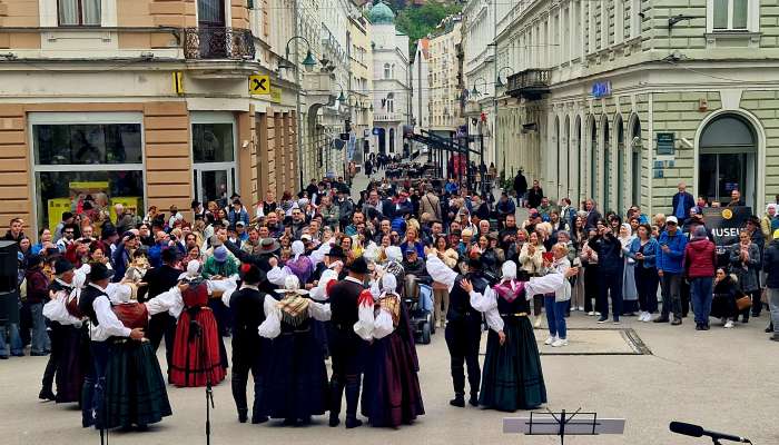 festival slovenija v