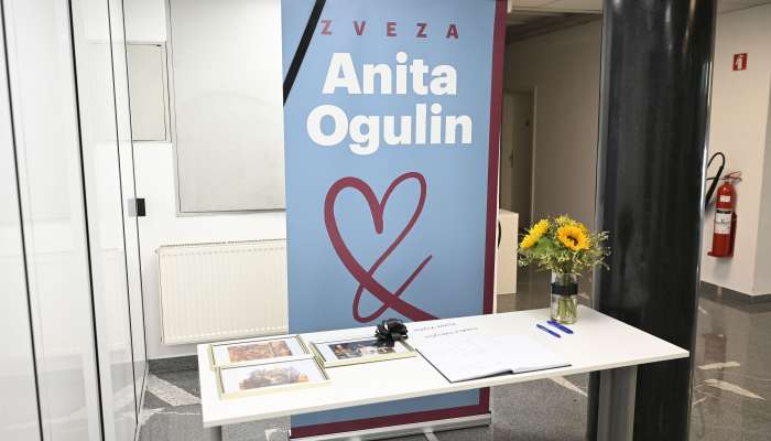 žalna knjiga, anita ogulin