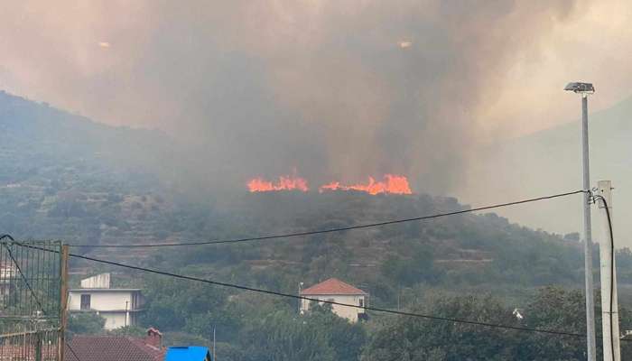 Žrnovnica, požar