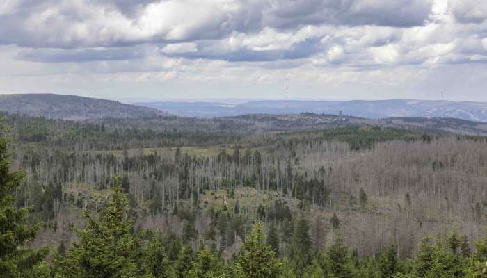 gorovje Harz