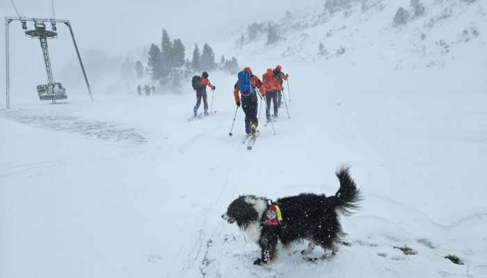 iskanje slovenskega smučarja, obertauern