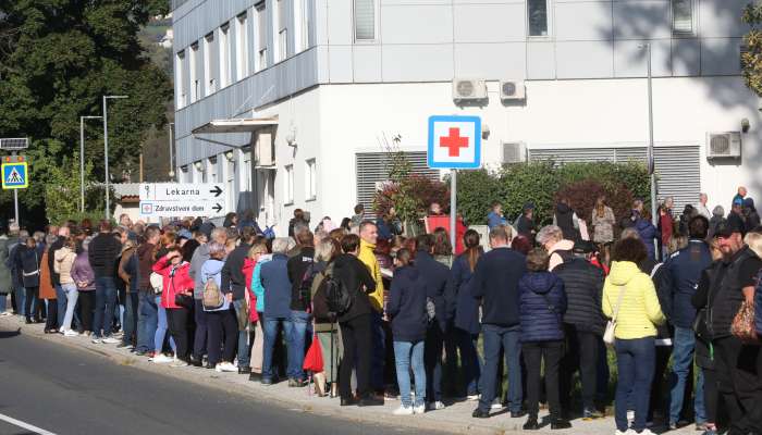 zd slovenska bistrica, zdravnica, vrsta