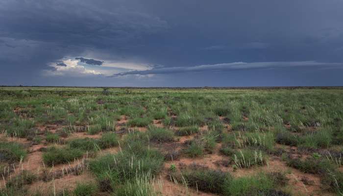 Pilbara