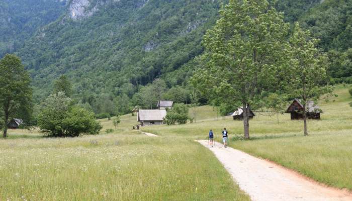 Bohinj